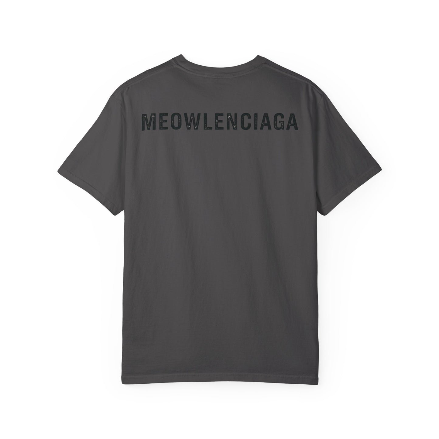 Meowlenciaga Cat Graphic T-Shirt | Streetwear Hoodie Cat Illustration