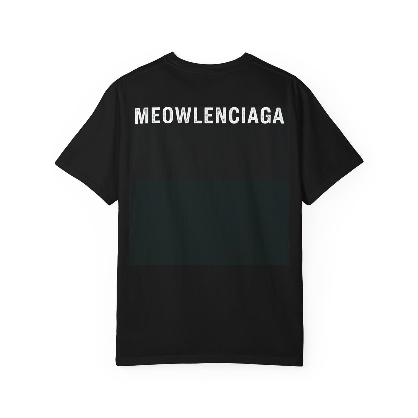 Meowlenciaga Cat Graphic T-Shirt | Streetwear Hoodie Cat Illustration
